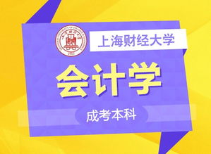 上海成考擇校指南 名校聚集，專業齊全，助力職場人輕松提升學歷